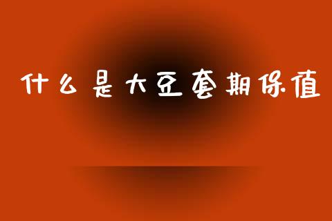 什么是大豆套期保值_https://cj007.lansai.wang_财经新闻_第1张