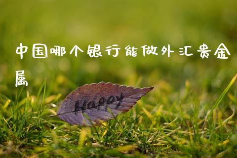 中国哪个银行能做外汇贵金属_https://cj007.lansai.wang_金融监管_第1张