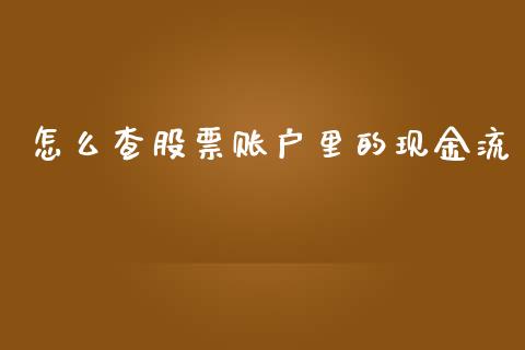 怎么查股票账户里的现金流_https://cj007.lansai.wang_金融监管_第1张
