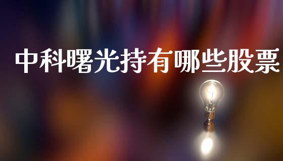 中科曙光持有哪些股票_https://cj007.lansai.wang_金融监管_第1张