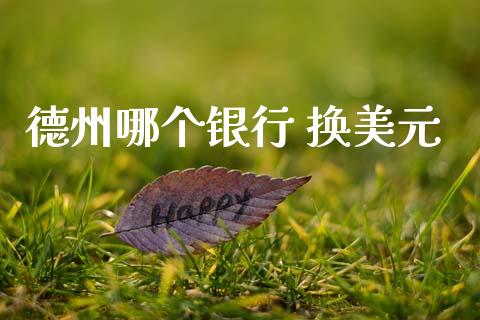 德州哪个银行 换美元_https://cj007.lansai.wang_金融监管_第1张
