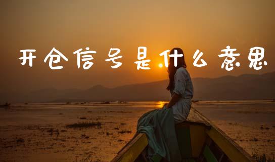 开仓信号是什么意思_https://cj007.lansai.wang_全球市场_第1张