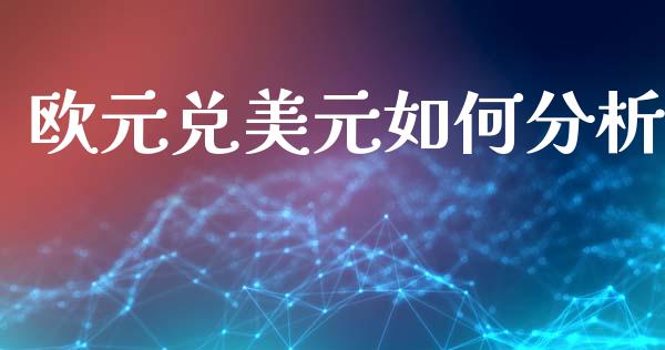 欧元兑美元如何分析_https://cj007.lansai.wang_外汇交易_第1张