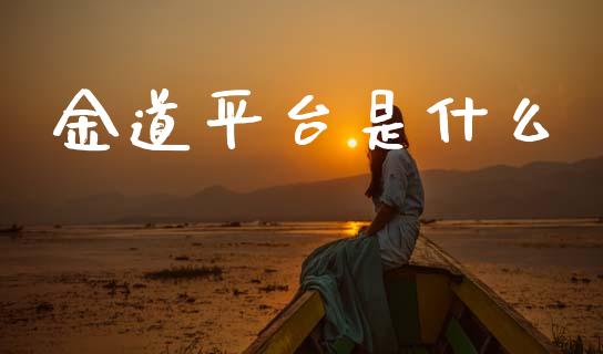 金道平台是什么_https://cj007.lansai.wang_全球市场_第1张