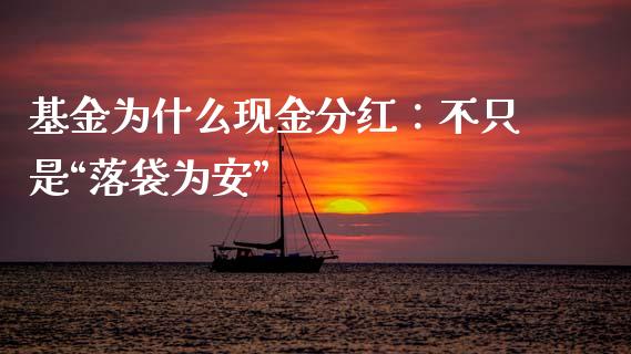 基金为什么现金分红：不只是“落袋为安”_https://cj007.lansai.wang_外汇交易_第1张