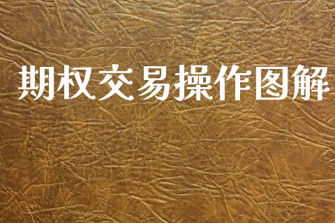 期权交易操作图解_https://cj007.lansai.wang_外汇交易_第1张