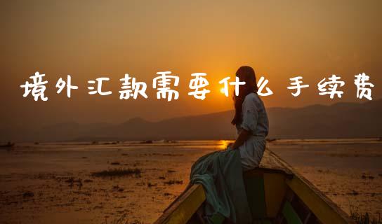 境外汇款需要什么手续费_https://cj007.lansai.wang_财经新闻_第1张