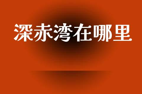 深赤湾在哪里_https://cj007.lansai.wang_外汇交易_第1张