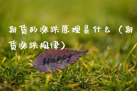 期货的涨跌原理是什么（期货涨跌规律）_https://cj007.lansai.wang_期货开户_第1张