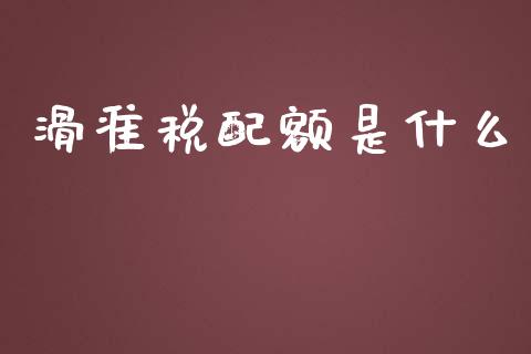 滑准税配额是什么_https://cj007.lansai.wang_期货开户_第1张