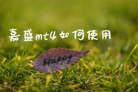 嘉盛mt4如何使用_https://cj007.lansai.wang_金融监管_第1张
