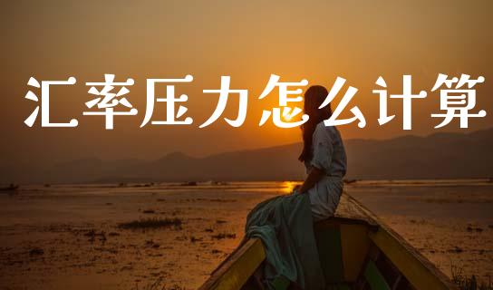 汇率压力怎么计算_https://cj007.lansai.wang_期货开户_第1张