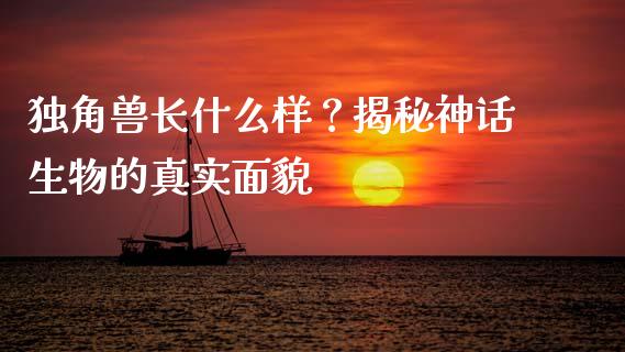 独角兽长什么样？揭秘神话生物的真实面貌_https://cj007.lansai.wang_金融监管_第1张