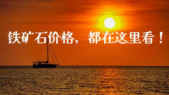 铁矿石价格，都在这里看！_https://cj007.lansai.wang_金融监管_第1张