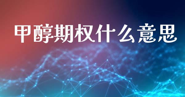 甲醇期权什么意思_https://cj007.lansai.wang_金融监管_第1张