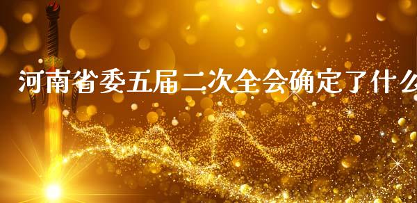 河南省委五届二次全会确定了什么_https://cj007.lansai.wang_外汇交易_第1张