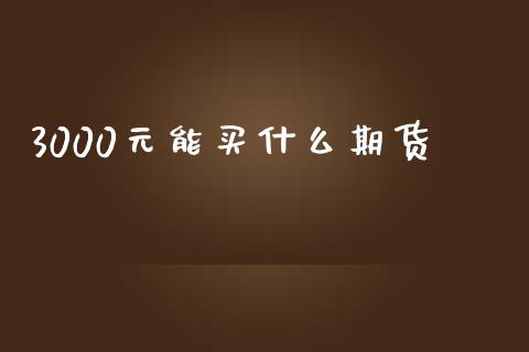 3000元能买什么期货_外汇交易_第1张_期货开户_金融监管_外汇交易_债券资讯_全球市场_财经新闻 3000元能买什么期货_https://cj007.lansai.wang_外汇交易_第1张