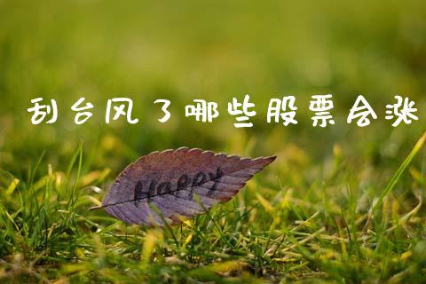 刮台风了哪些股票会涨_https://cj007.lansai.wang_债券资讯_第1张