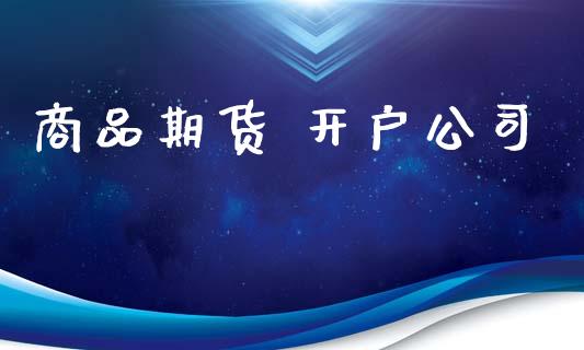 商品期货 开户公司_https://cj007.lansai.wang_金融监管_第1张