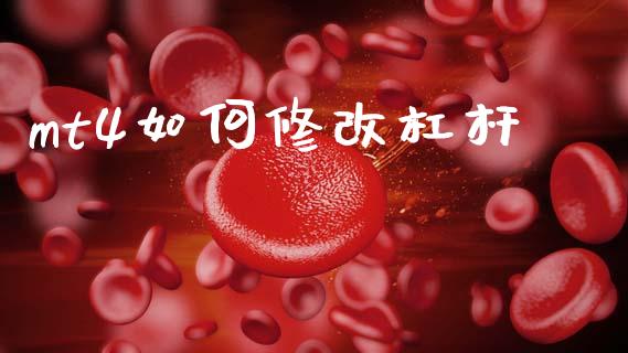 mt4如何修改杠杆_https://cj007.lansai.wang_期货开户_第1张