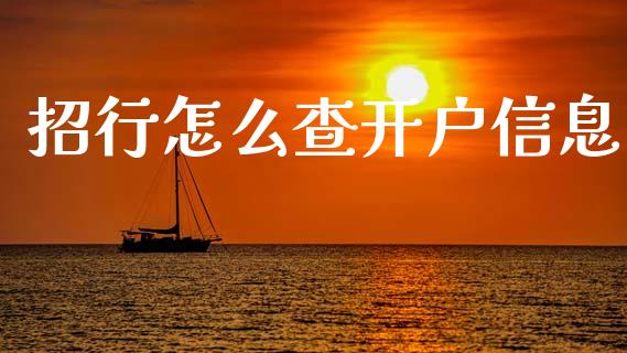 招行怎么查开户信息_https://cj007.lansai.wang_期货开户_第1张