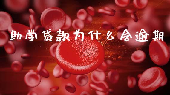 助学贷款为什么会逾期_https://cj007.lansai.wang_财经新闻_第1张