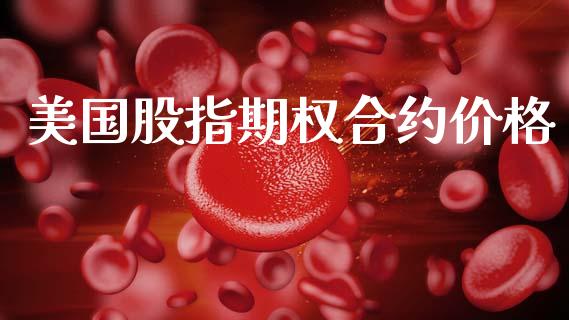 美国股指期权合约价格_https://cj007.lansai.wang_债券资讯_第1张