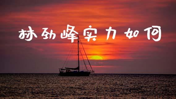 林劲峰实力如何_https://cj007.lansai.wang_金融监管_第1张