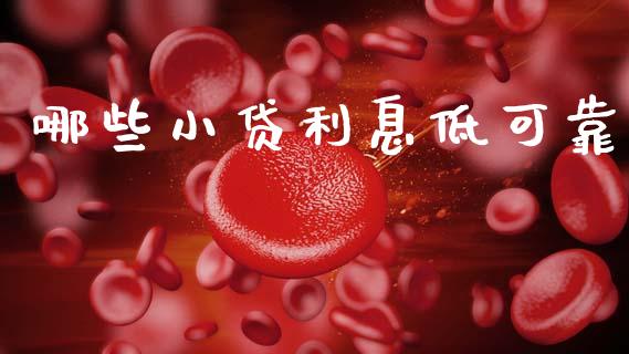 哪些小贷利息低可靠_https://cj007.lansai.wang_财经新闻_第1张