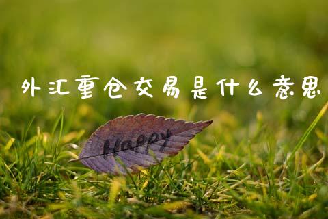 外汇重仓交易是什么意思_https://cj007.lansai.wang_金融监管_第1张