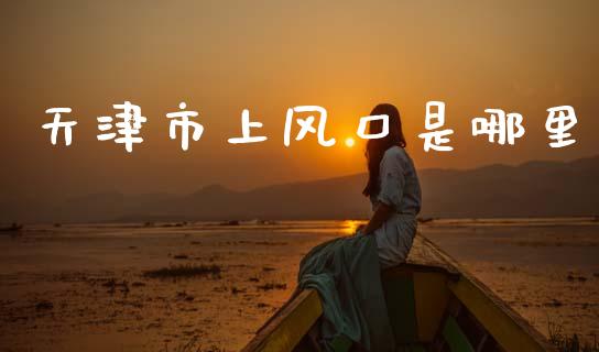 天津市上风口是哪里_https://cj007.lansai.wang_债券资讯_第1张