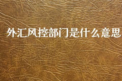 外汇风控部门是什么意思_https://cj007.lansai.wang_财经新闻_第1张