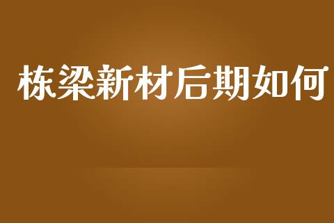 栋梁新材后期如何_https://cj007.lansai.wang_金融监管_第1张