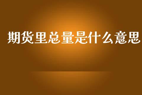 期货里总量是什么意思_https://cj007.lansai.wang_债券资讯_第1张