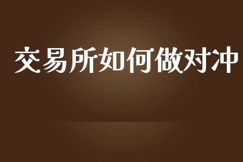 交易所如何做对冲_https://cj007.lansai.wang_金融监管_第1张