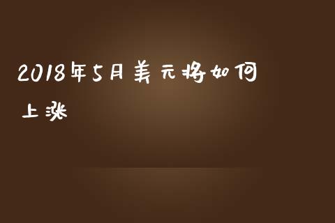 2018年5月美元将如何上涨_https://cj007.lansai.wang_期货开户_第1张