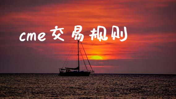 cme交易规则_https://cj007.lansai.wang_金融监管_第1张