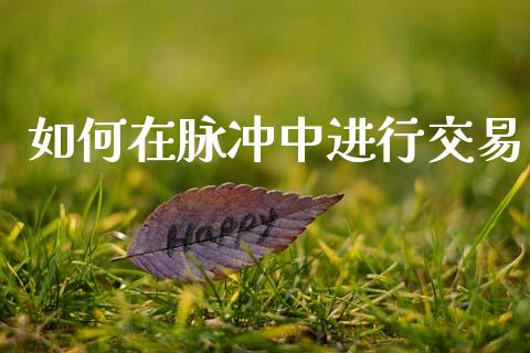如何在脉冲中进行交易_https://cj007.lansai.wang_期货开户_第1张