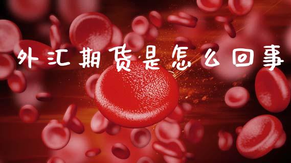 外汇期货是怎么回事_https://cj007.lansai.wang_债券资讯_第1张