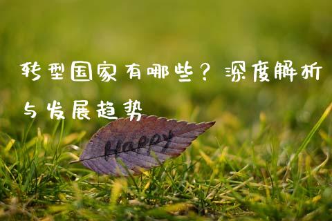 转型国家有哪些？深度解析与发展趋势_https://cj007.lansai.wang_债券资讯_第1张