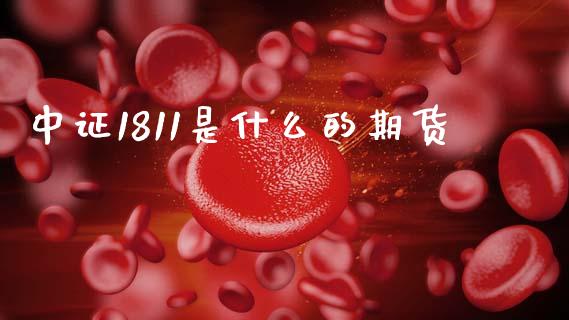 中证1811是什么的期货_https://cj007.lansai.wang_期货开户_第1张