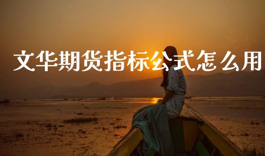 文华期货指标公式怎么用_https://cj007.lansai.wang_债券资讯_第1张