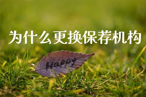 为什么更换保荐机构_https://cj007.lansai.wang_外汇交易_第1张