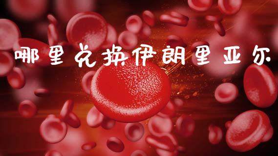 哪里兑换伊朗里亚尔_https://cj007.lansai.wang_债券资讯_第1张