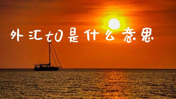 外汇t0是什么意思_https://cj007.lansai.wang_债券资讯_第1张
