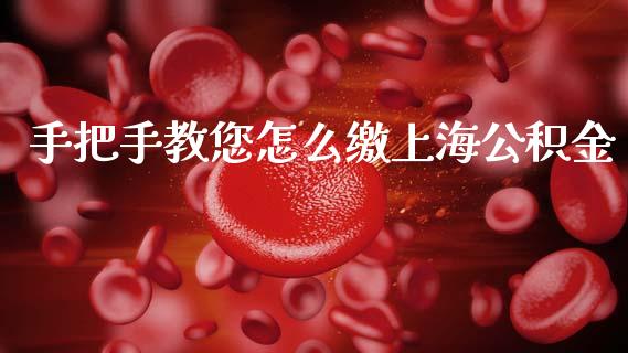 手把手教您怎么缴上海公积金_https://cj007.lansai.wang_期货开户_第1张