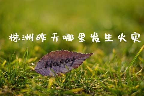 株洲昨天哪里发生火灾_https://cj007.lansai.wang_全球市场_第1张