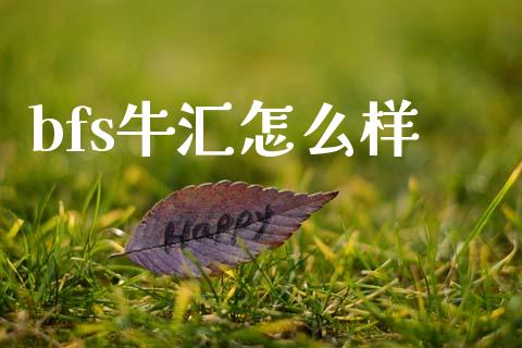 bfs牛汇怎么样_https://cj007.lansai.wang_财经新闻_第1张