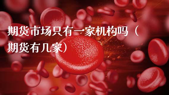 期货市场只有一家机构吗（期货有几家）_https://cj007.lansai.wang_债券资讯_第1张