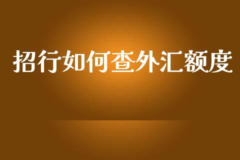 招行如何查外汇额度_https://cj007.lansai.wang_债券资讯_第1张